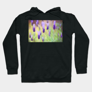 Lavender 10 Hoodie